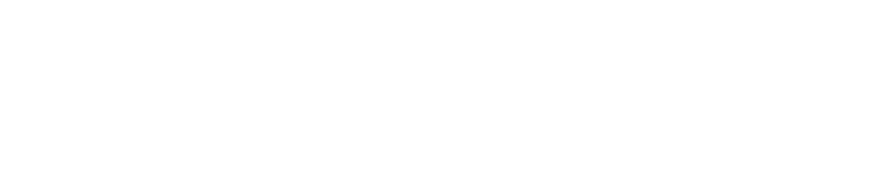 Sponsorlogo Avnet