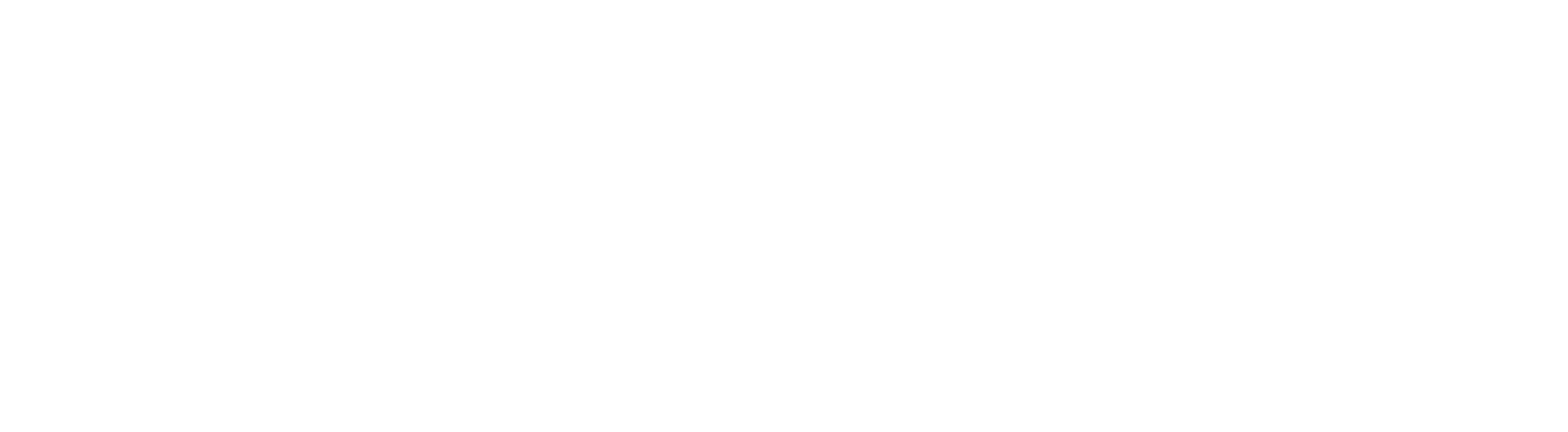 Sponsorlogo Selectric